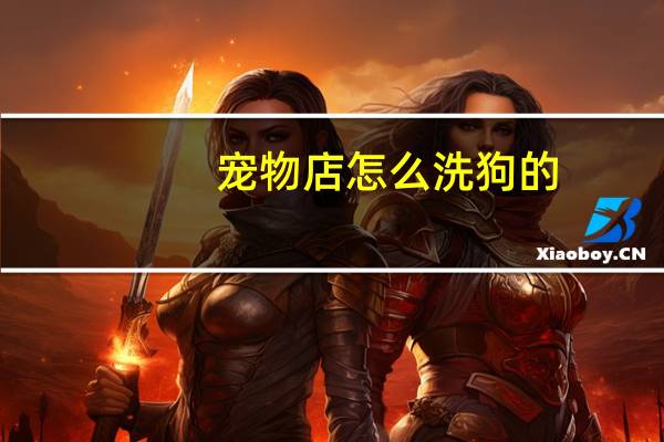 宠物店怎么洗狗的