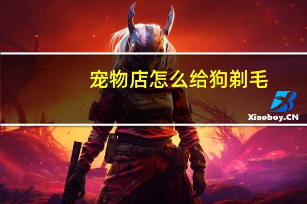 宠物店怎么给狗剃毛