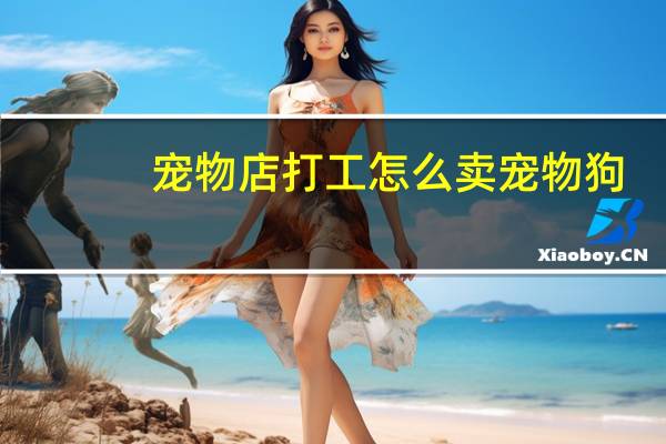 宠物店打工怎么卖宠物狗