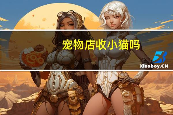 宠物店收小猫吗