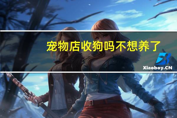 宠物店收狗吗不想养了