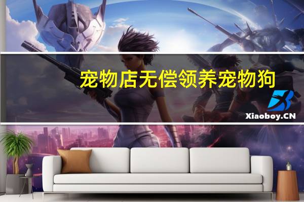 宠物店无偿领养宠物狗