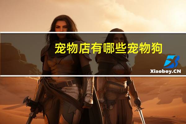 宠物店有哪些宠物狗