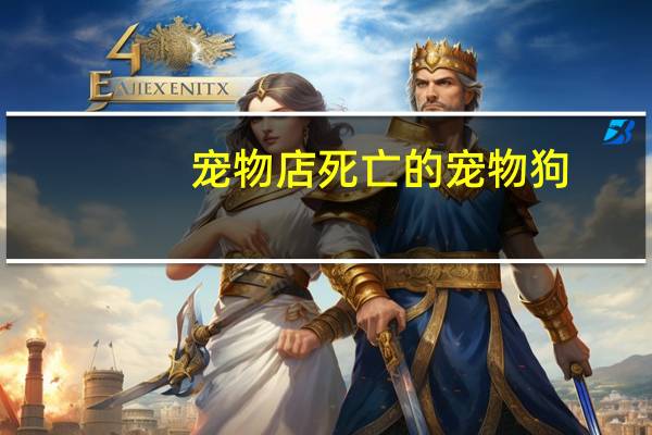 宠物店死亡的宠物狗