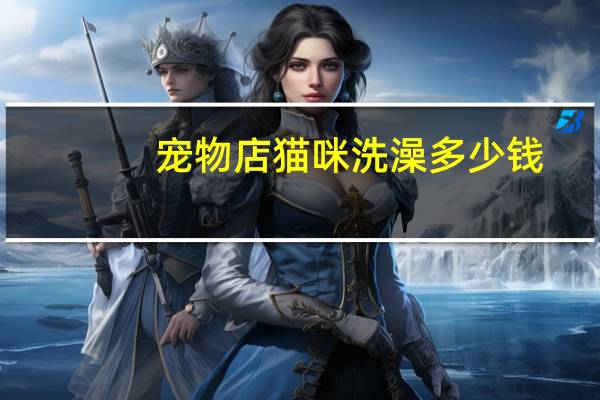 宠物店猫咪洗澡多少钱