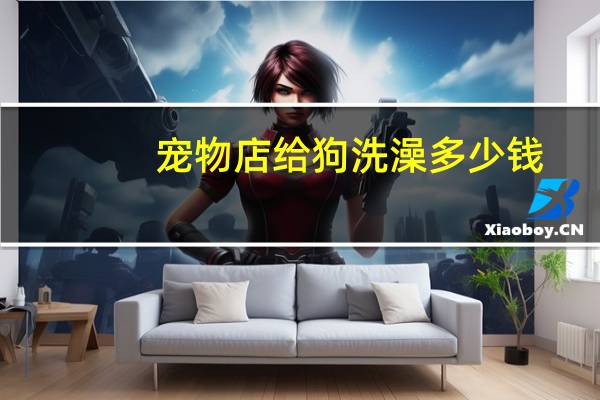 宠物店给狗洗澡多少钱