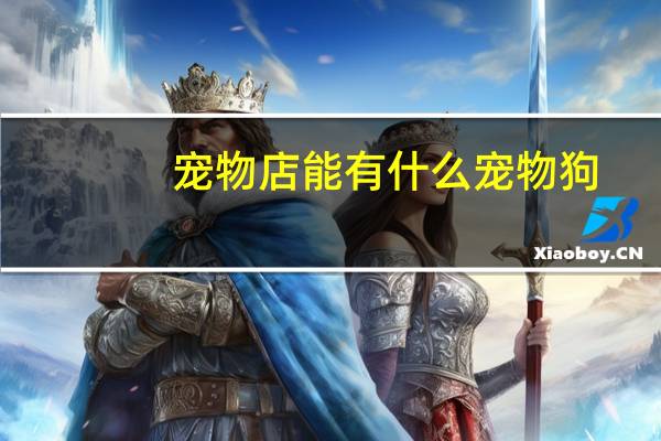 宠物店能有什么宠物狗
