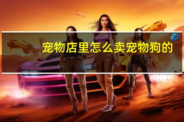 宠物店里怎么卖宠物狗的