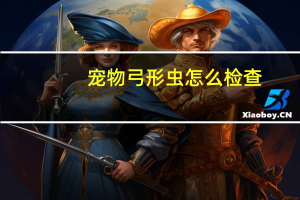 宠物弓形虫怎么检查
