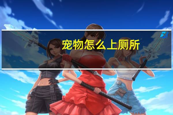 宠物怎么上厕所