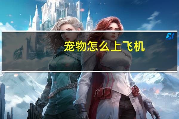 宠物怎么上飞机