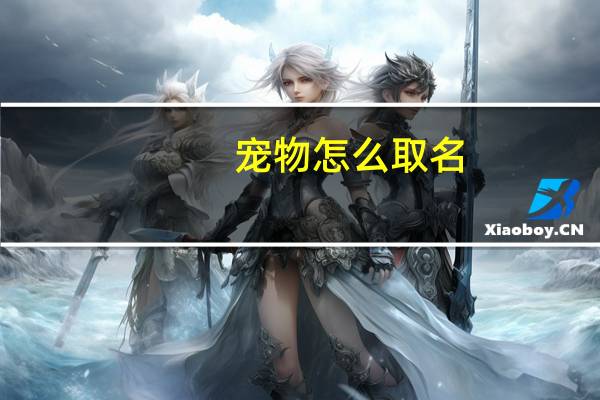 宠物怎么取名