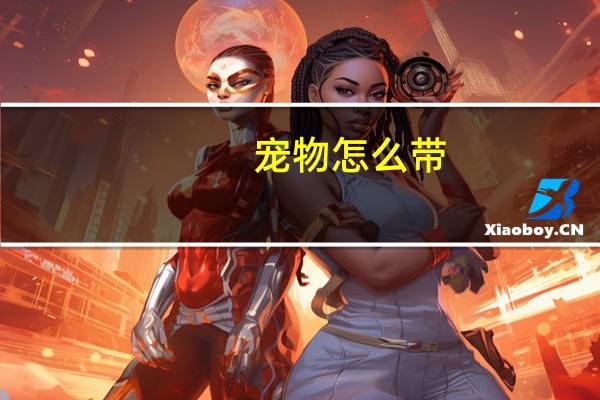 宠物怎么带