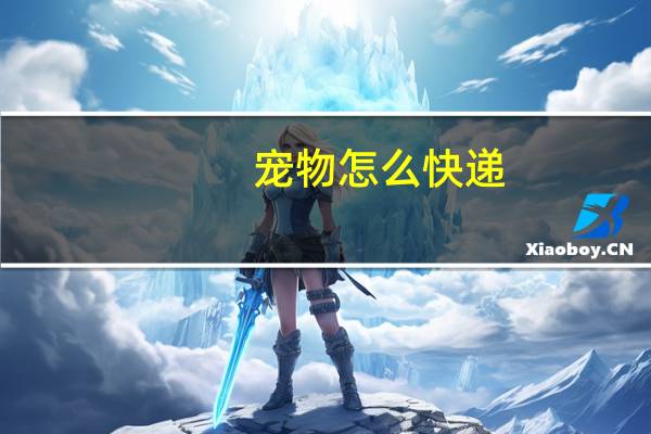 宠物怎么快递