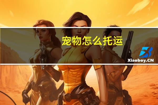 宠物怎么托运