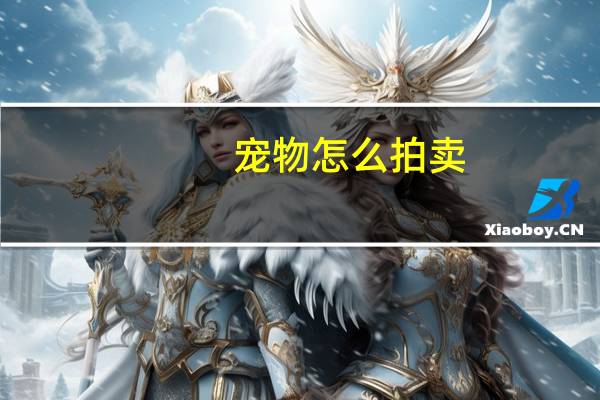 宠物怎么拍卖