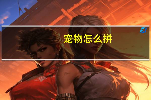 宠物怎么拼