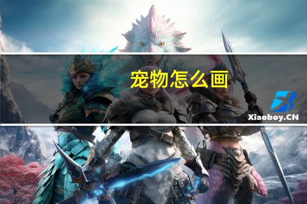 宠物怎么画