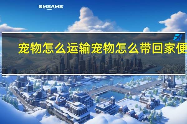 宠物怎么运输 宠物怎么带回家便宜