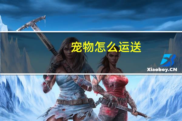 宠物怎么运送