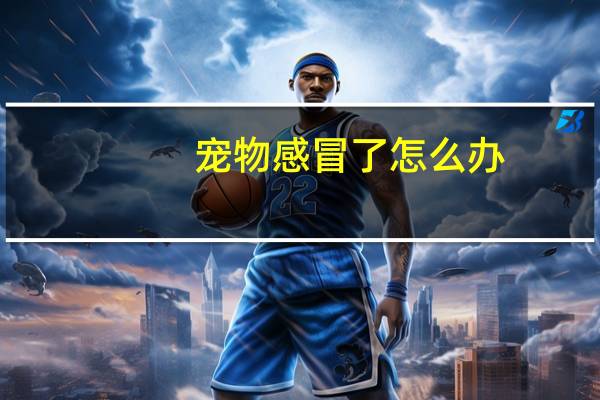 宠物感冒了怎么办