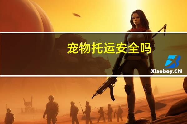 宠物托运安全吗
