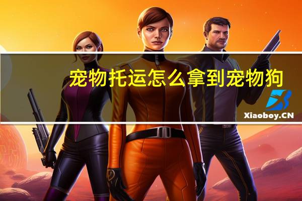宠物托运怎么拿到宠物狗