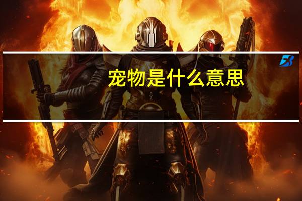 宠物是什么意思