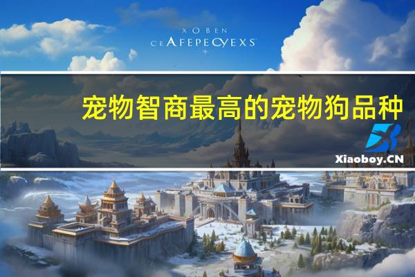 宠物智商最高的宠物狗品种