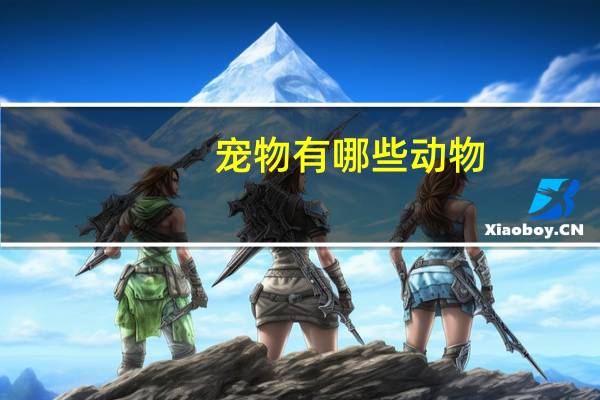 宠物有哪些动物