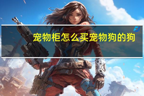 宠物柜怎么买宠物狗的狗
