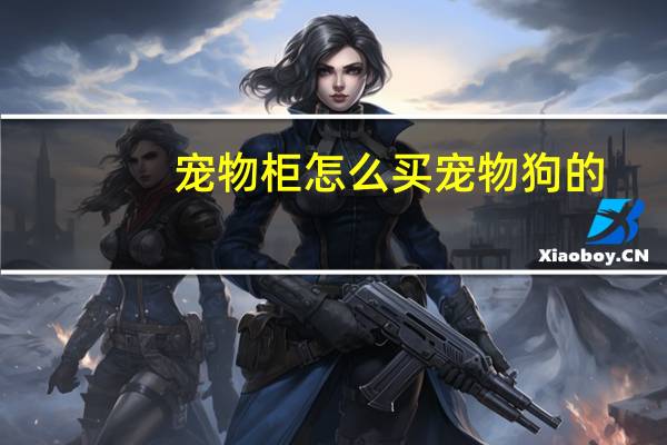 宠物柜怎么买宠物狗的