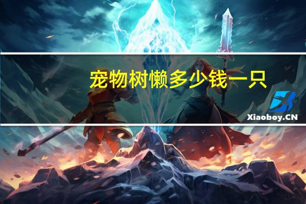 宠物树懒多少钱一只