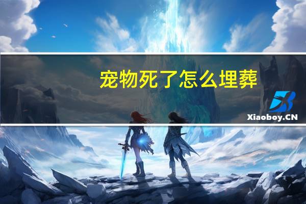 宠物死了怎么埋葬