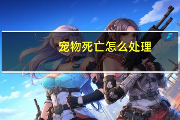 宠物死亡怎么处理