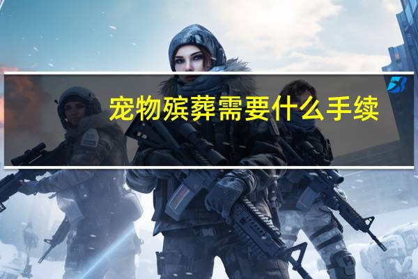 宠物殡葬需要什么手续