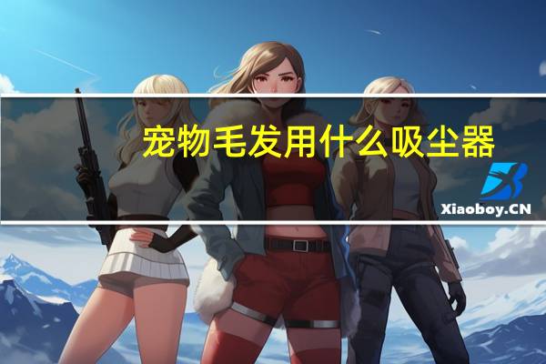宠物毛发用什么吸尘器