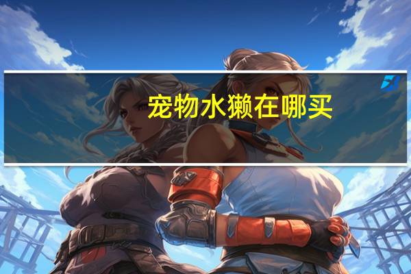 宠物水獭在哪买