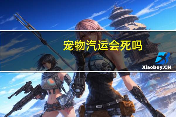 宠物汽运会死吗