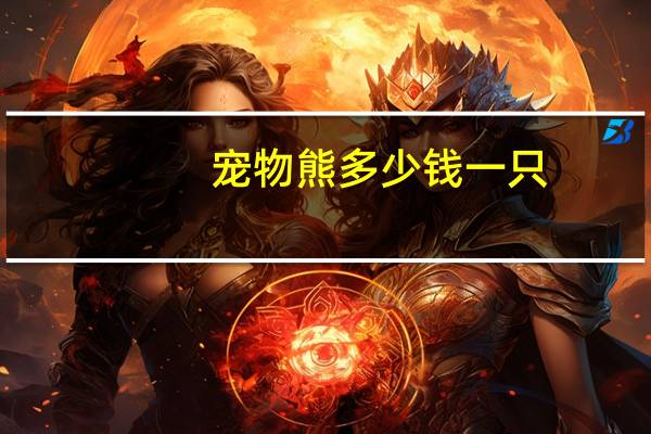 宠物熊多少钱一只