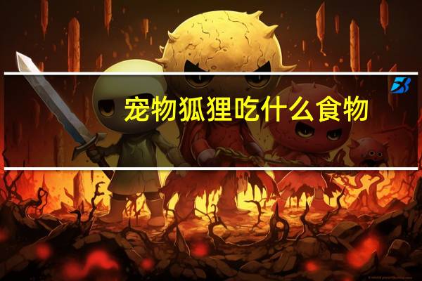 宠物狐狸吃什么食物