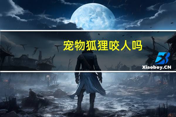 宠物狐狸咬人吗
