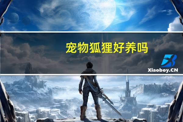 宠物狐狸好养吗