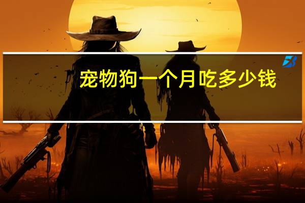 宠物狗一个月吃多少钱