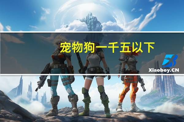 宠物狗一千五以下