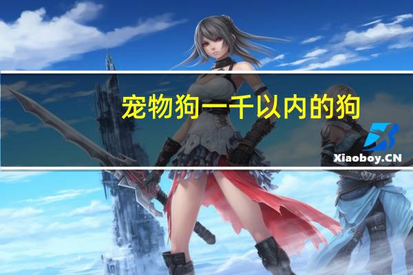 宠物狗一千以内的狗