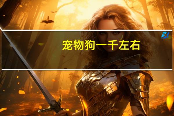 宠物狗一千左右