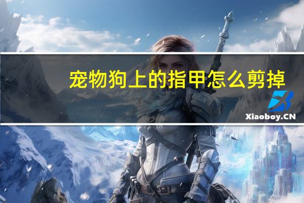 宠物狗上的指甲怎么剪掉
