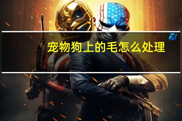 宠物狗上的毛怎么处理
