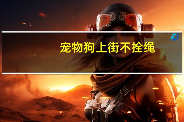 宠物狗上街不拴绳